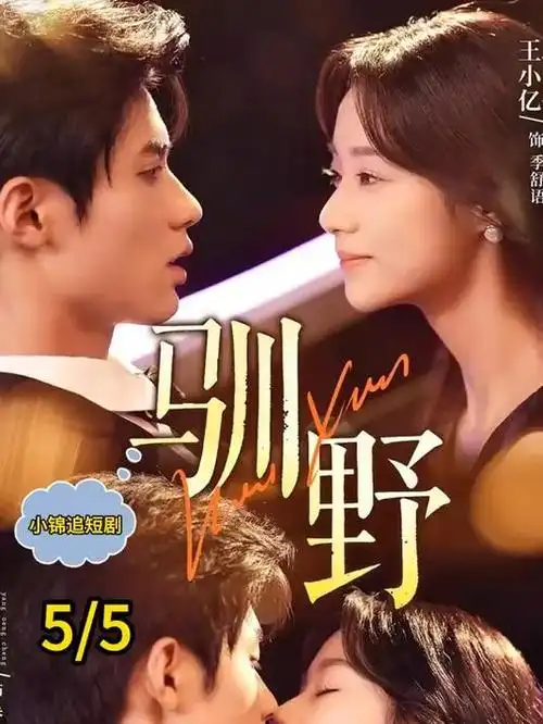 八十年代小娇妻短剧海报